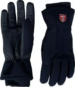 Swix Blizzard Glove
