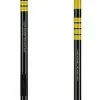 Swix Infinity Sonic Touring Alu Pole